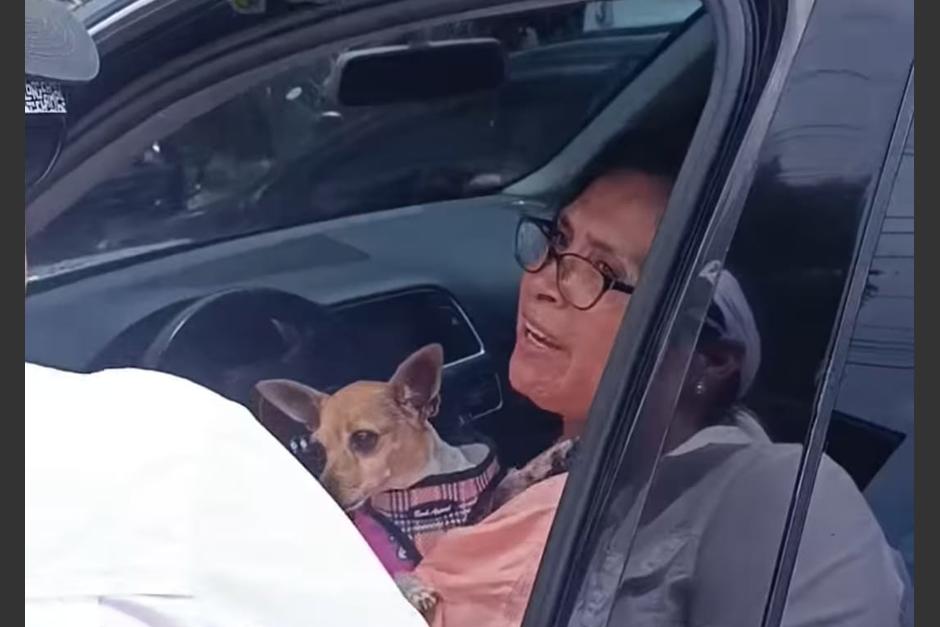 La mujer protagonizó un extraño incidente en pleno tránsito, al querer llevar a su perro "al baño". (Foto: captura de video)