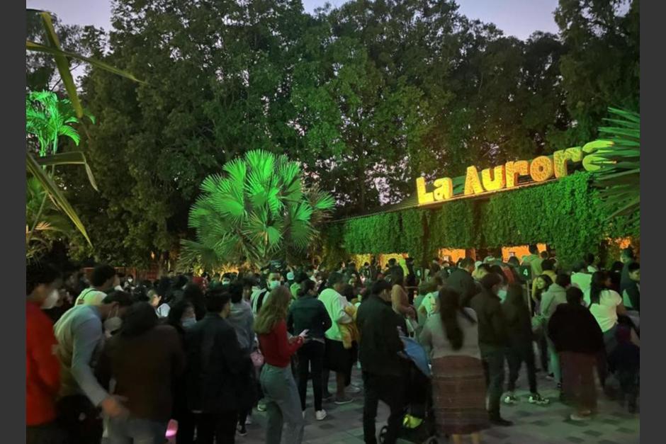 El Zoológico La Aurora anunció su próxima "Noche de Luna" con grandes sorpresas en el recinto. (Foto: archivo/Soy502)