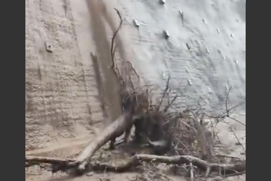 Derrumbe habría caído sobre un vehículo, pero este logró esquivar una rama y lodo en la Hincapié. (Foto: captura de video)