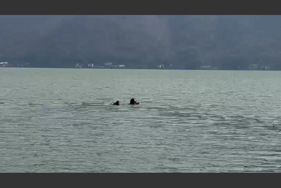 Un cadáver fue hallado flotando en el lago de Amatitlán. (Foto: Archivo/Soy502)