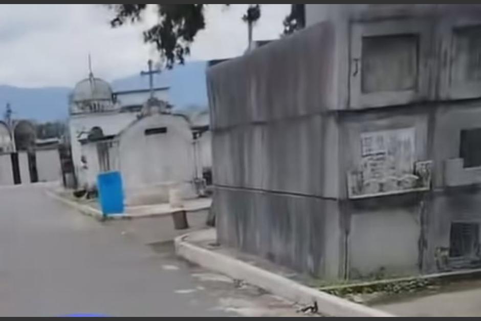 La guatemalteca hacía una transmisión en vivo desde el Cementerio, cuando algo extraño ocurrió. (Foto: captura de video)