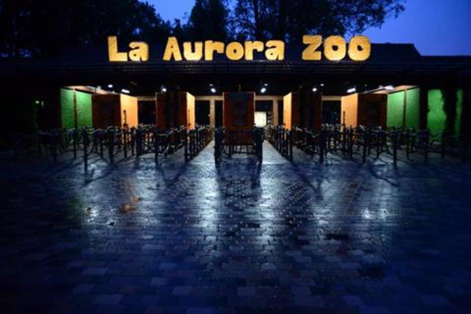 Asiste a las "Noches de Luna" en el Zoológico La Aurora. (Foto: archivo/Soy502)