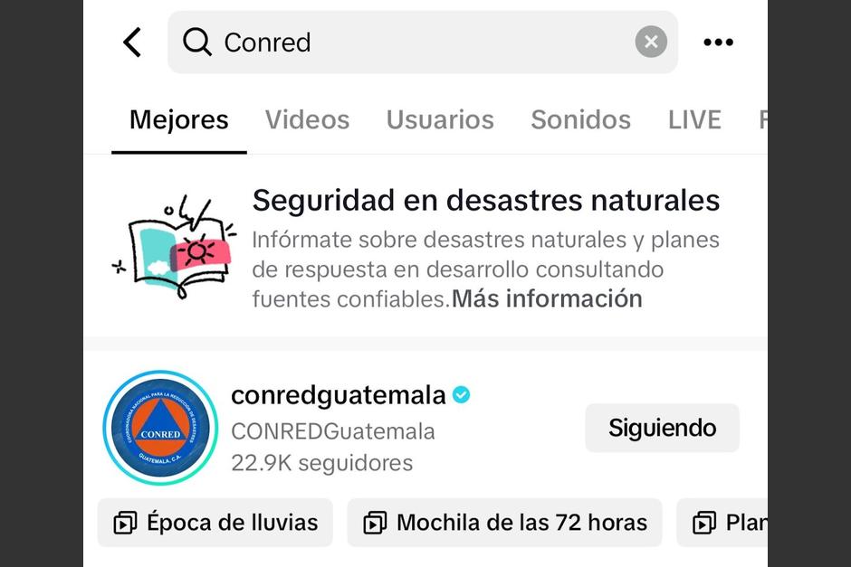 Conred y TikTok lanzan botón de búsqueda para informar sobre emergencias y desastres. (Foto: Soy502)