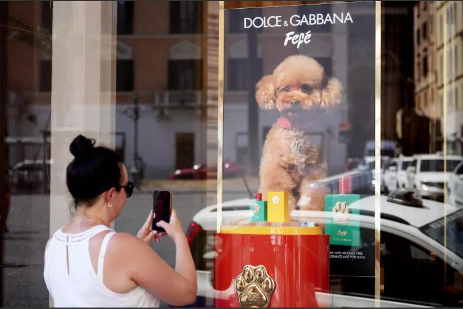 Perfume para perros llamado “Fefé” (Foto: captura de pantalla)