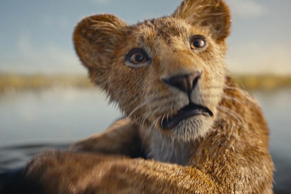 "Mufasa", es una de las películas más esperadas de este año, ¿cumplirá con los estándares? esto es lo que debes saber antes de verla. (Foto: Disney Movies)