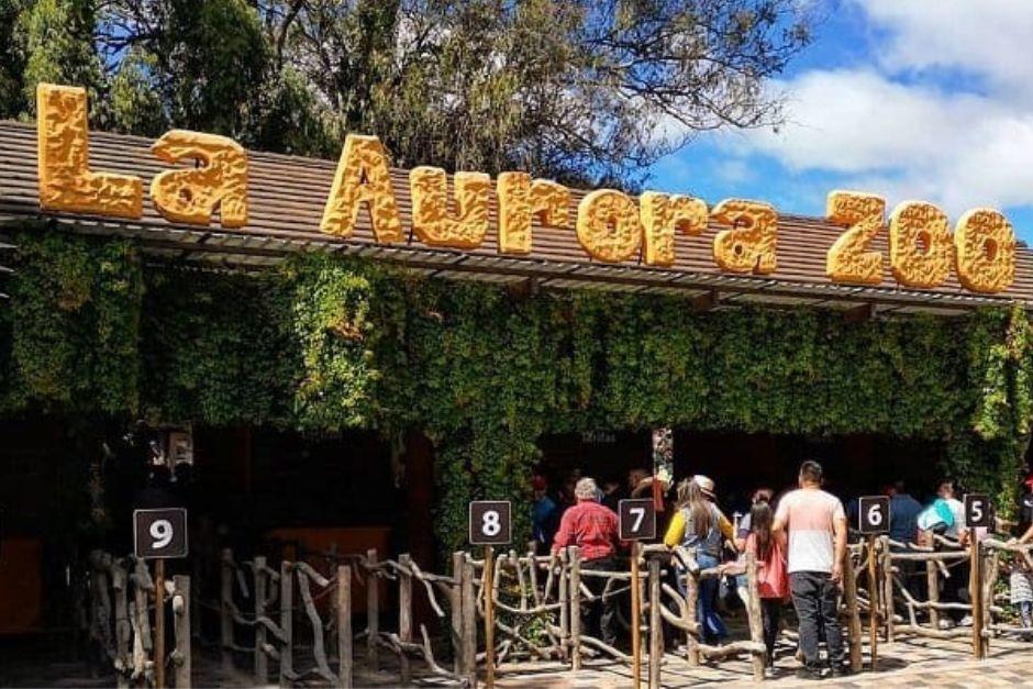 El zoológico La Aurora cumplió 100 años de su fundación. (Foto: Soy502/archivo)