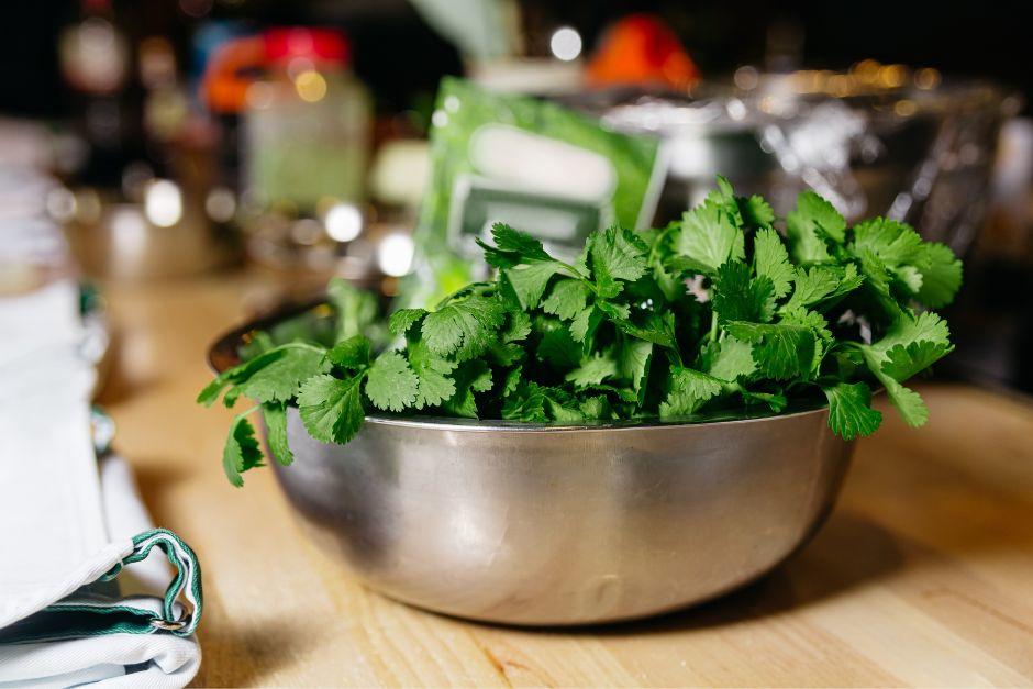 El precio del cilantro se dispara y se convierte en un antojo valioso, según las reacciones en redes sociales. (Foto: Shutterstock)