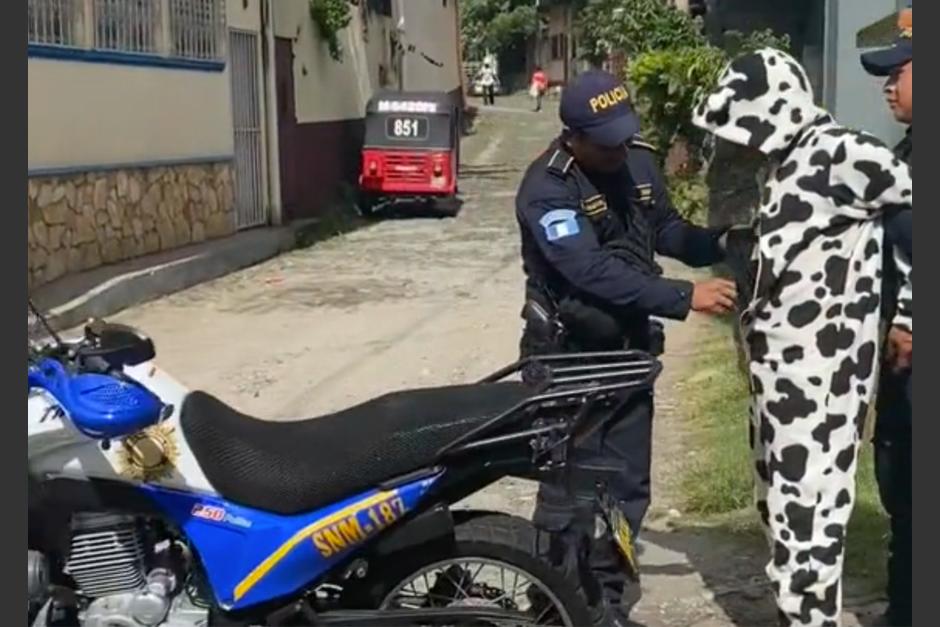 La captura contra un hombre disfrazado de vaca se viralizó en redes sociales. (Foto: captura de pantalla)&nbsp;