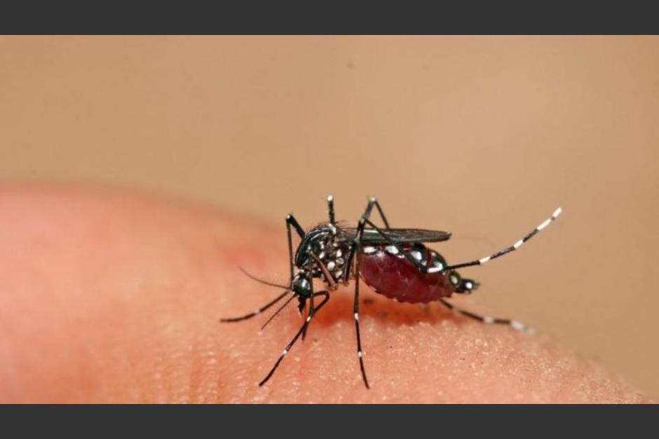 La OPS señaló 121 muertes por dengue en Centroamérica y el Caribe con al menos 247,000 casos registrados.&nbsp;(Foto: Municpalidad de Tafi Viejo).