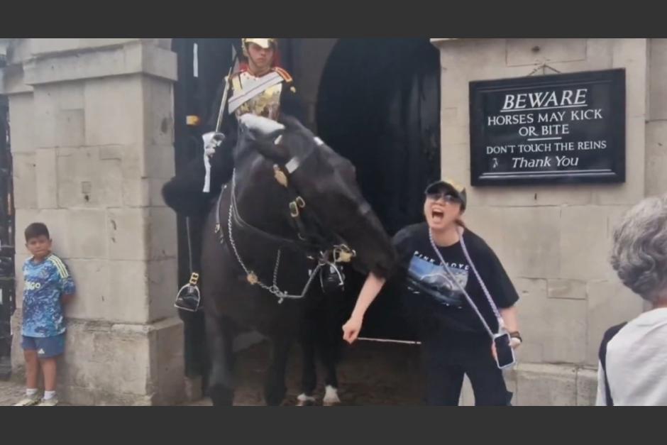 Turista Mordida por Caballo de la Guardia Real Británica (video) (Foto: Captura de Pantalla)