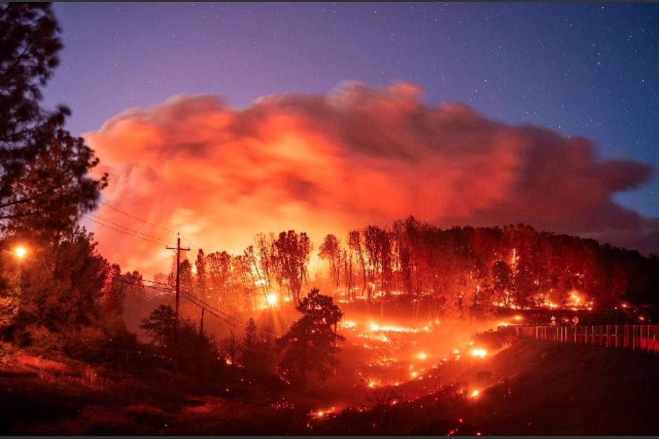 El fuego, conocido como Park Fire, obligó a evacuaciones masivas en los condados de Butte y Tehama. (Foto: AP)