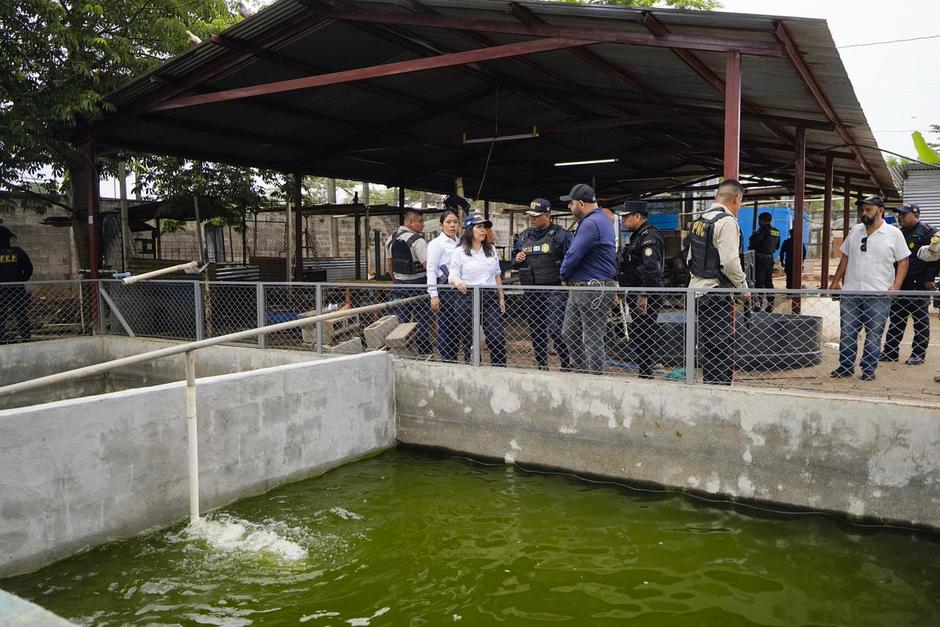 Las autoridades encontraron varios animales silvestres dentro de la cárcel de máxima seguridad. (Foto: Mingob)