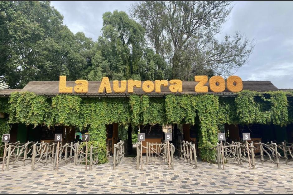 Conoce una nueva experiencia para disfrutar en el Zoológico La Aurora. (Foto: archivo/Soy502)