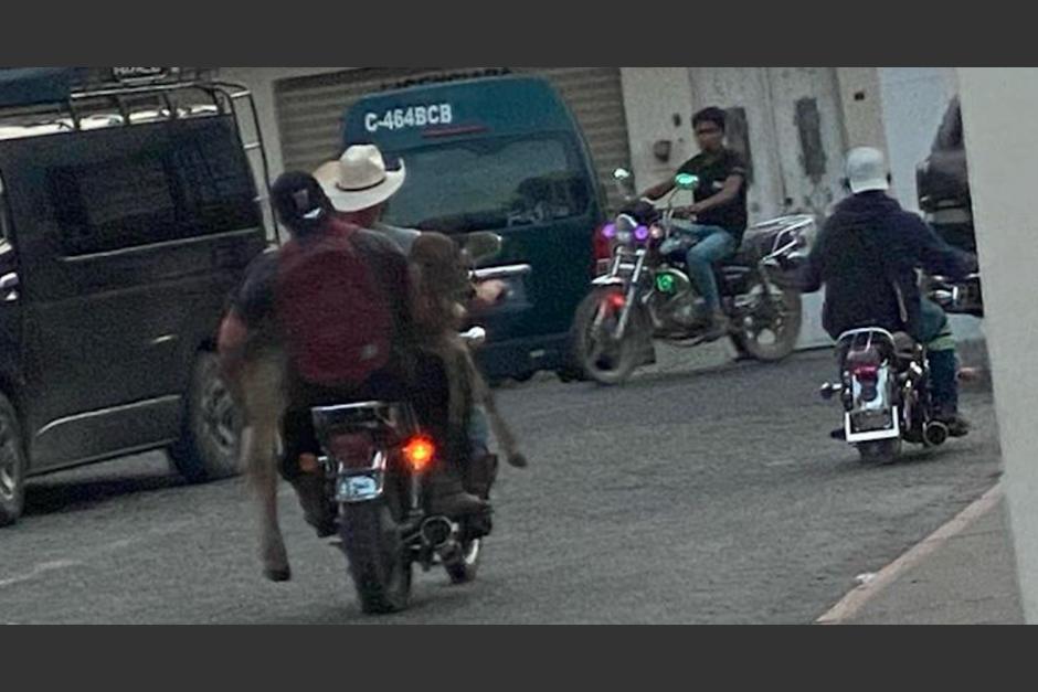 Un curioso pasajero llamó la atención de conductores.&nbsp;(Foto: Facebook/Museo Guatemalteco de Internet/Samuel Zepeda)