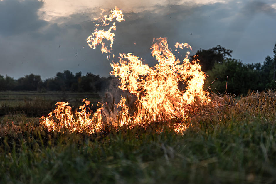 El hombre que fue sorprendido tras iniciar un incendio en una zona boscosa en Alta Verapaz. (Foto: ilustrativa/Freepik)