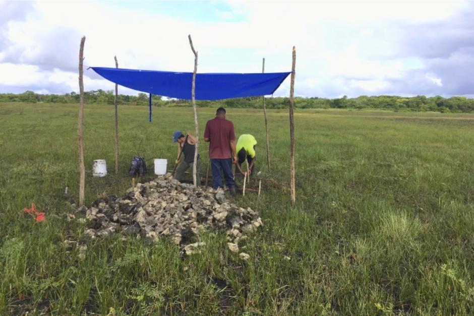 Con drones e imágenes de Google Earth, descubren canales de 4,000 años de antigüedad que fueron utilizados por antiguos mayas para pescar. (Foto:&nbsp;Proyecto de Arqueología del Este del Río Belice)