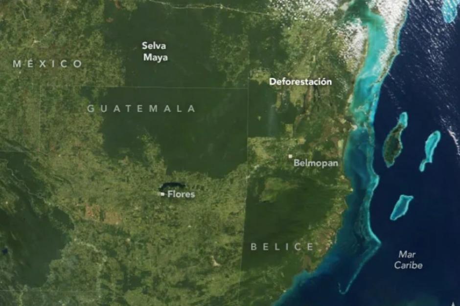 La expansión de la ganadería sería la principal causa de la pérdida de cobertura forestal en la Selva Maya, según un estudio. (Foto: NASA)