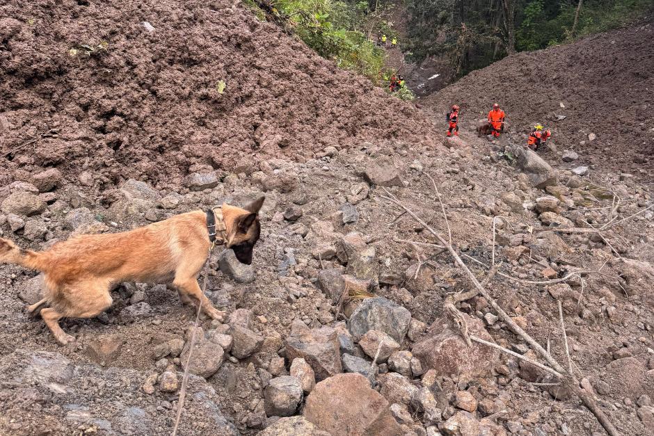 Con la ayuda de tres ejemplares caninos continúa la búsqueda de cuatro de los siete desaparecidos tras deslizamiento. (Foto: Bomberos Voluntarios)