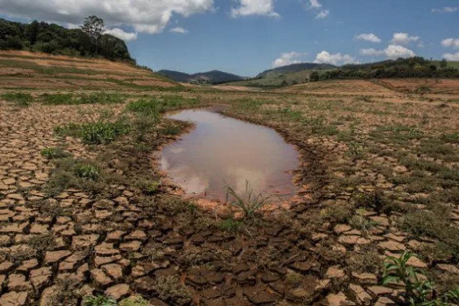 Las mayores pérdidas son en café y caña de azúcar (Foto: Diario Las Américas)