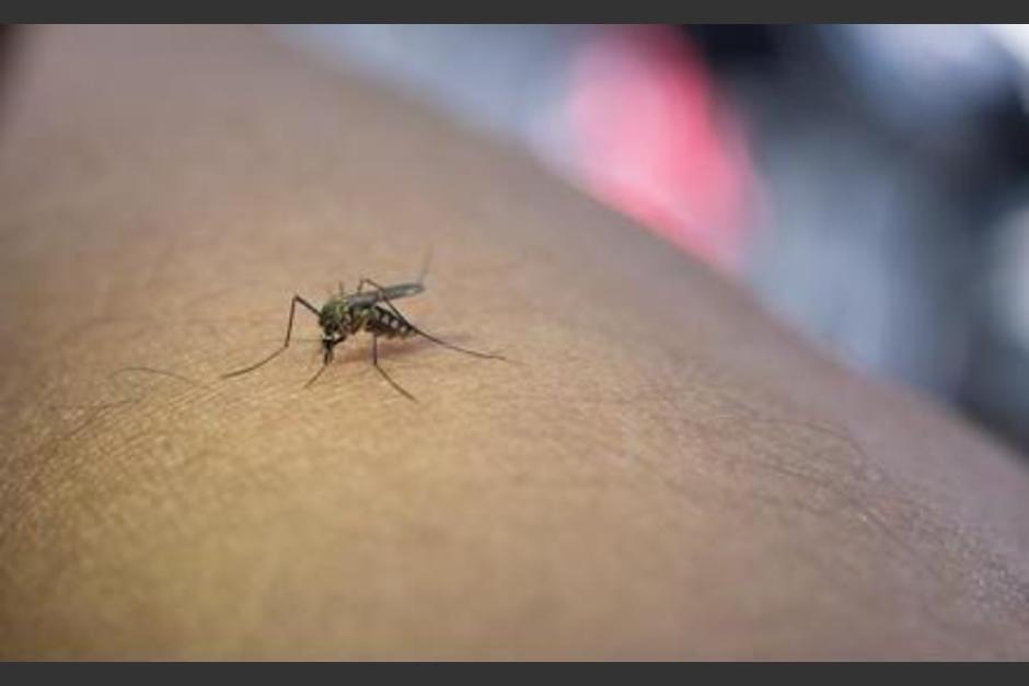 Salud se declaró en alerta roja institucional por el aumento de casos de dengue grave. (Foto: archivo/Soy502)