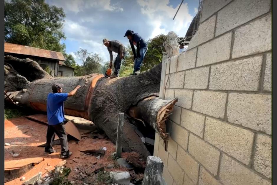 Un árbol cayó sobre una vivienda en Zacapa. (Foto: Conred)