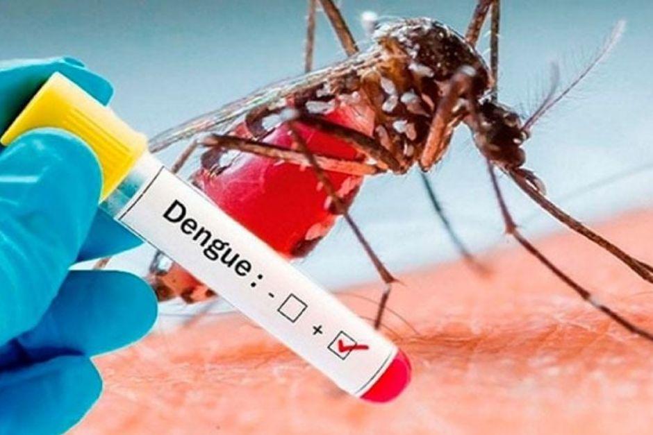 Los casos de dengue se han incrementado en las últimas semanas. (Foto ilustrativa: OMS)