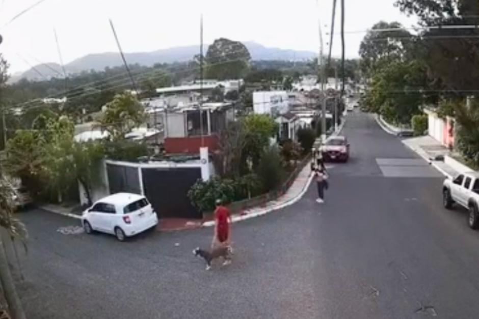 Graban el momento en que perro pitbull ataca a una mujer acompañada de dos menores en San Cristóbal. (Foto: captura de video/Muni Mixco)