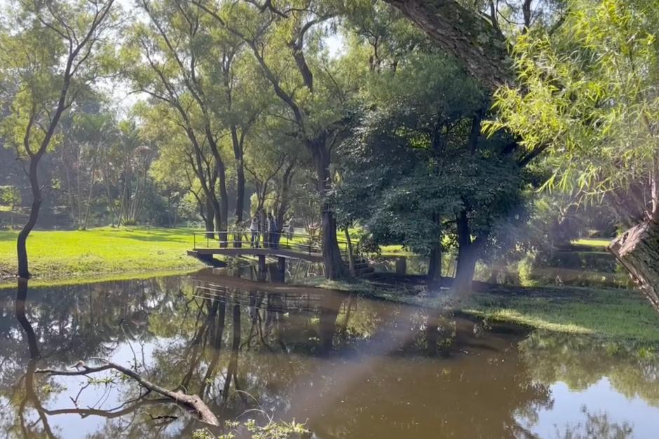 Confirman el avistamiento de un cocodrilo en una laguna de un residencial de Amatitlán. (Foto: Conap)