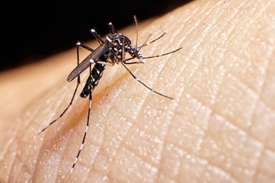 Un profesional de salud dio a conocer los síntomas de un síndrome que se manifiesta tras haber tenido dengue. (Foto: DownToEarth)