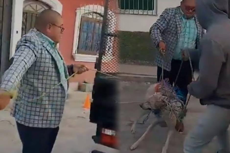 En diciembre pasado, se hizo viral un video que muestra el maltrato del cual era objeto un perro. (Foto: X/Byron Rodríguez)