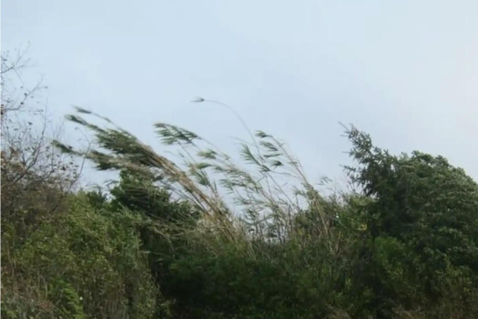 Así será el viento para el domingo. (Foto: Pexels)