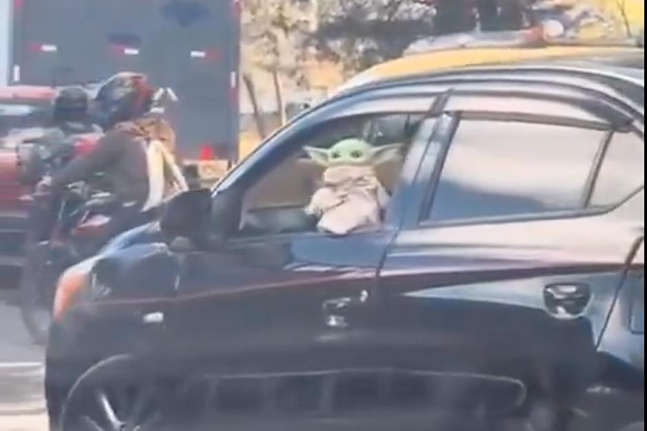 Reaparece "Baby Yoda" para pedir la vía en medio del tránsito de la ciudad de Guatemala, fue captado en video. (Foto: captura de video)