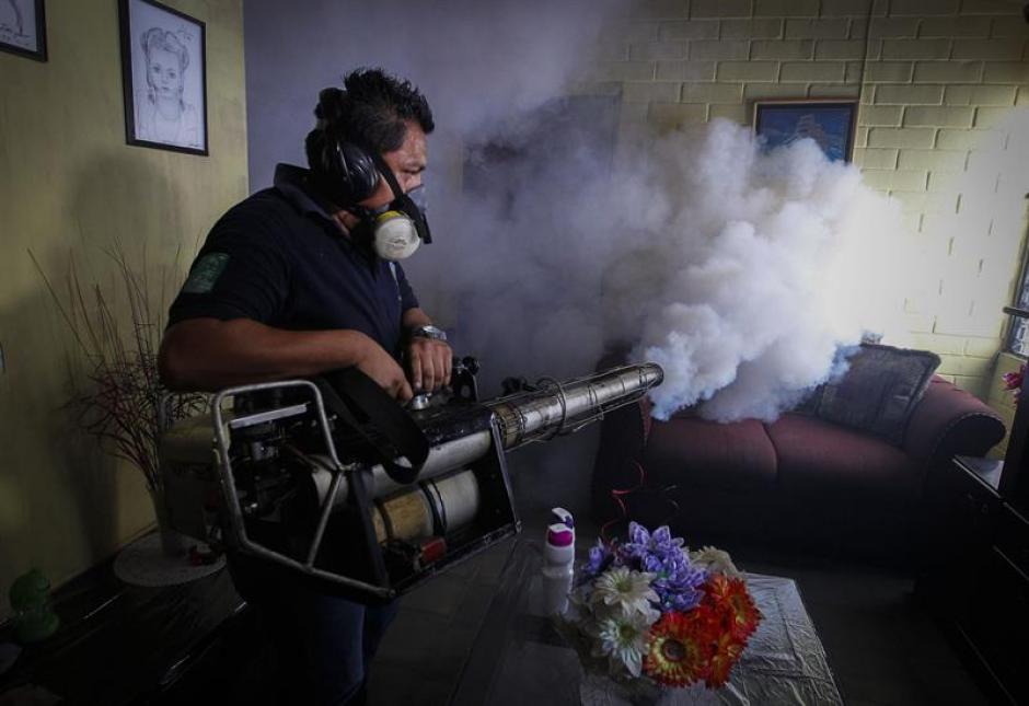 Las autoridades de Protección Civil de El Salvador iniciaron una campaña sanitaria nacional de tres días con la que pretenden disminuir la presencia del mosquito que transmite el virus del&nbsp;Zika. (Foto EFE)