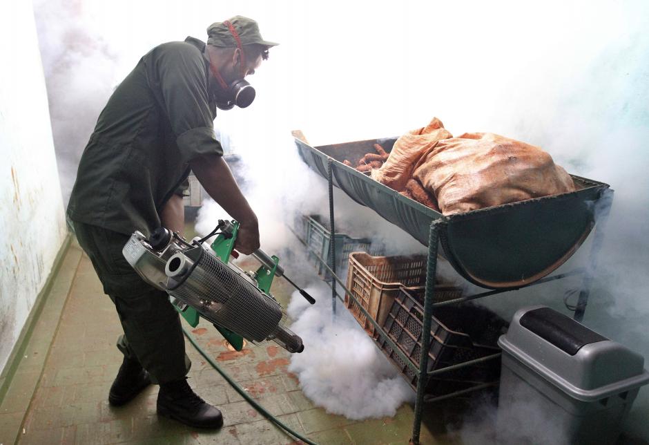 Según la Organización Mundial de la Salud (OMS) si se controlan los criaderos de mosquitos Aedes disminuyen las posibilidades de que se transmita el zika. (Foto: EFE)