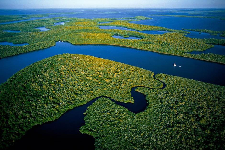 Un ambicioso proyecto orquestado por China pretende unir los océanos Pacífico y Atlántico atravesando parte la selva amazónica. (Foto: Archivo)