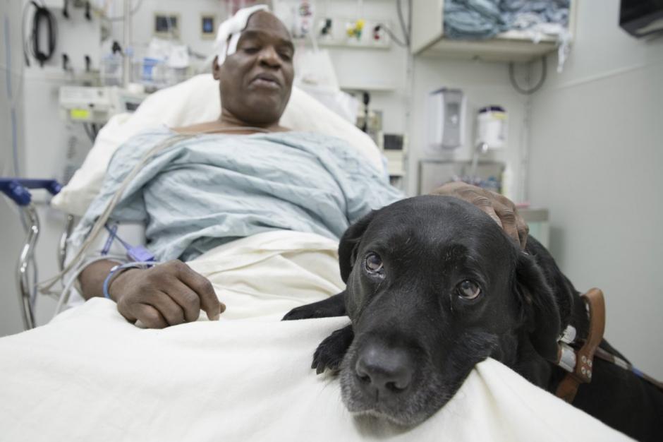El no vidente Cecil Williams, convaleciendo junto al perro guía, Orlando, que le salvó la vida. (businessinsider.com)