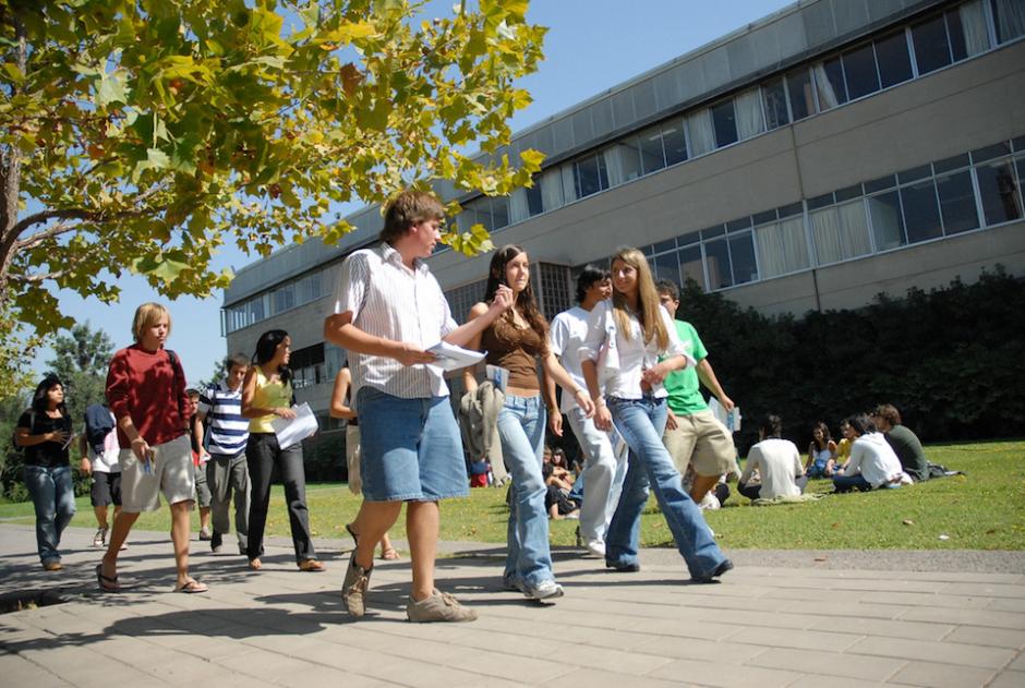 Becas de maestrías en Chile a las que todo guatemalteco ...