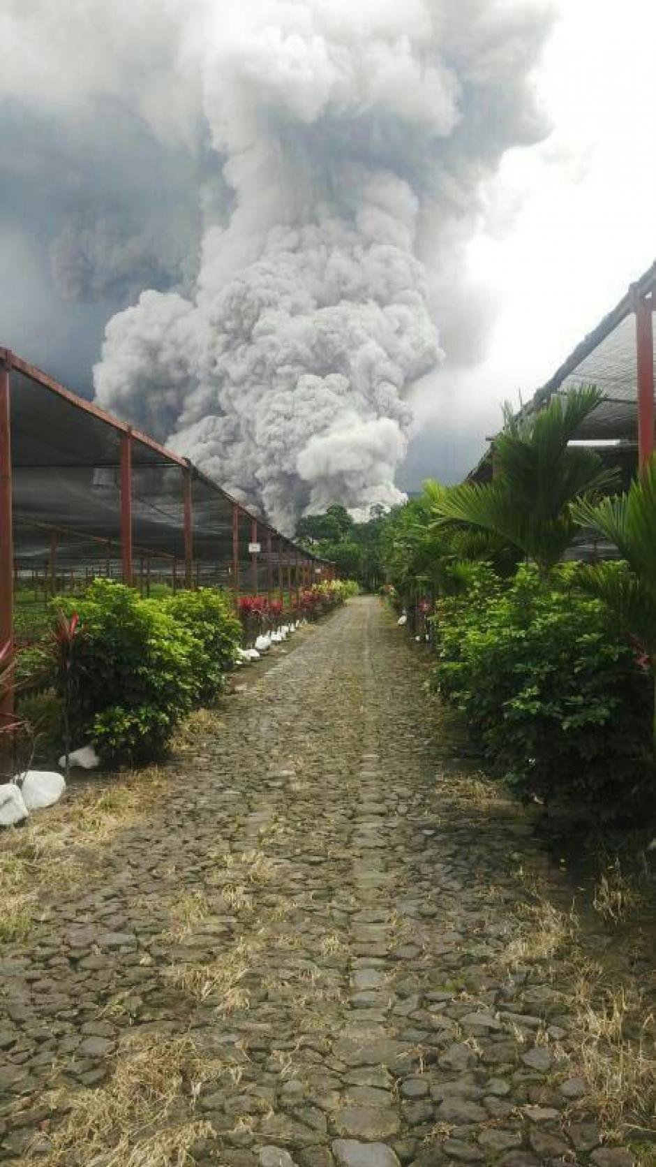 Así se observa la erupción del volcán ubicado en Quetzaltenango. (Foto: Insivumeh)