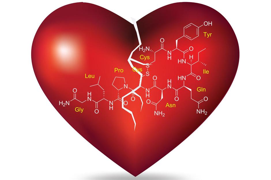La oxitocina, mejor conocida como la "hormona del amor", podría ser una gran opción para contrarrestar el alcoholismo. (Imagen: divulgades.es)