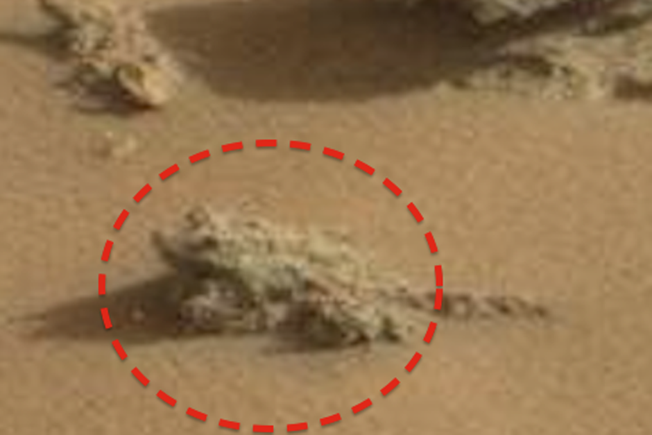 Esta es la imagen de la "rana" captada el Marte. (Foto: actualidad.rt.com)