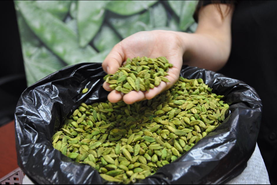 Las ventas de cardamomo guatemalteco aumentaron un 15 por ciento durante 2015. &nbsp;(Foto: &nbsp;Archivo/Soy502)