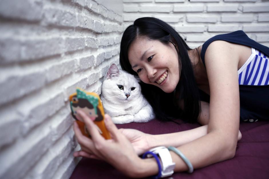 El veterinario Tony Buffington explica que la mala relación con los gatos puede deberse a que las personas están acostumbradas a convivir con perros, quienes tienen una naturaleza más intuitiva y sociable. (Fotografía: EFE)