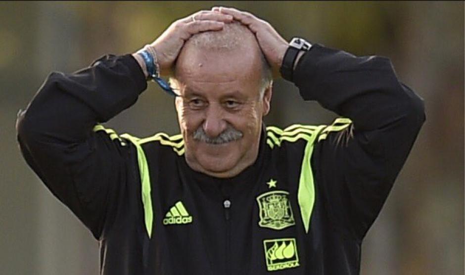 Vicente del Bosque renunció a la dirección técnica de la Selección española. (Foto: abc.es)