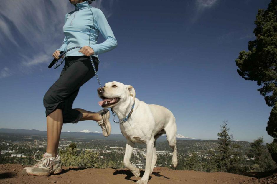 Correr con tu mascota es saludable para ambos. Pero al igual que los humanos, los perros necesitan entrenamiento ante una gran carrera. (Foto: animalfiel)