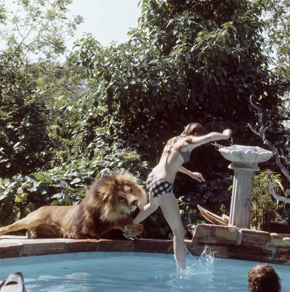 &nbsp;Neil trata de agarrar y morder su pierna mientras ella salta en el agua, en la casa familiar. (Foto: Colección Life/Gett Michael Rougier)