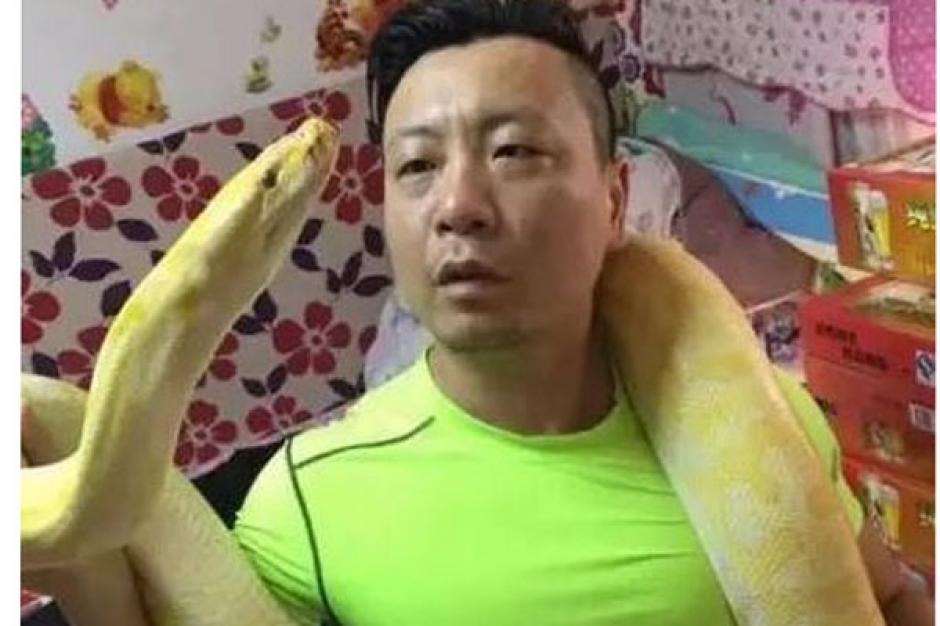 Indignación ha causado en redes sociales de China y otras partes del mundo la acción del hombre que adopta perros y gatos para darlos de comer a su boa mascota. (Foto: Change.org)&nbsp;