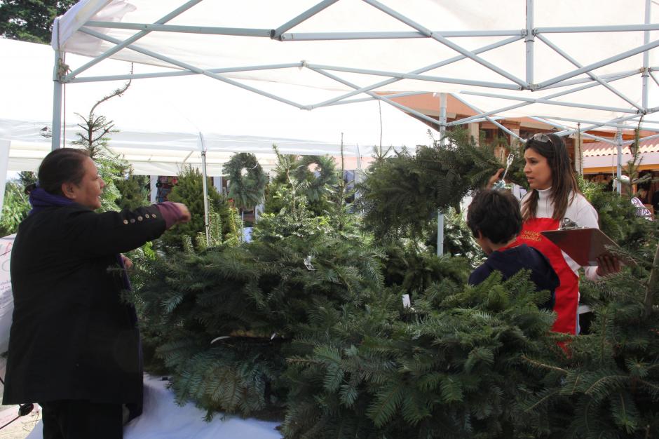 Los primeros compradores ya se hicieron presentes al Mercado de Artesanías para buscar el árbol de navidad para sus hogares. (Foto: Fredy Hernández/Soy502)