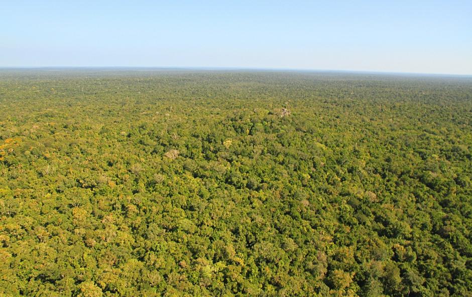 El Acuerdo comprenderá la Biosfera Maya, en Guatemala; Yalbac y las montañas mayas Chiquibul, en Belice; y la Reserva de la Biosfera Calakmul, en México. (Foto Conap)&nbsp;
