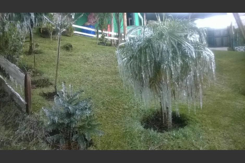 Las bajas temperaturas afectan el departamento de Quetzaltenango. (Foto: @ErickColop)
