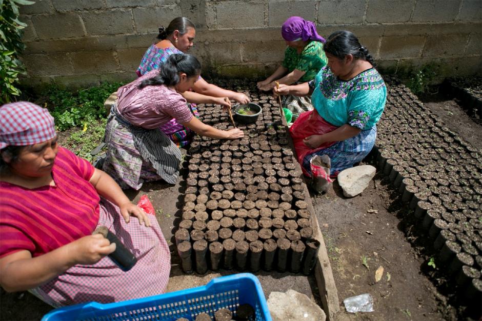 ONU Mujeres “Mayoría de guatemaltecas tienen trabajos precarios"
